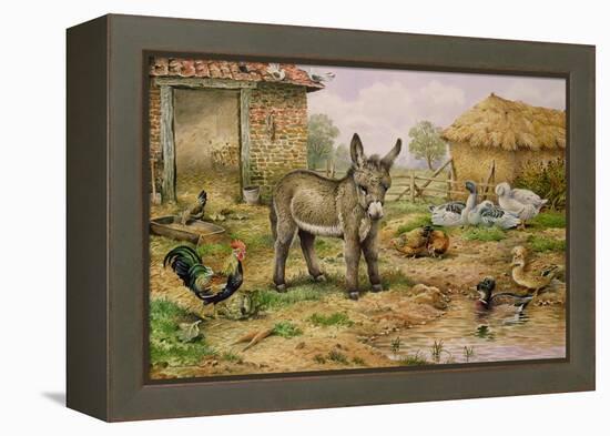 Donkey and Farmyard Fowl-Carl Donner-Framed Premier Image Canvas