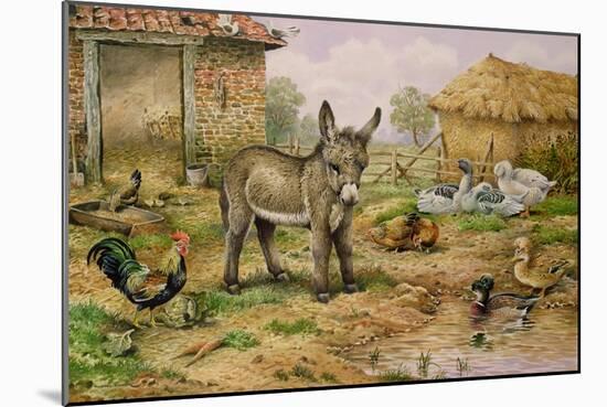Donkey and Farmyard Fowl-Carl Donner-Mounted Giclee Print