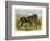 Donkey and Foal by a Fence-null-Framed Art Print