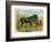 Donkey and Foal by a Fence-null-Framed Art Print