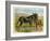 Donkey and Foal by a Fence-null-Framed Art Print