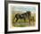 Donkey and Foal by a Fence-null-Framed Art Print