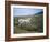 Donkey, Asinara, Sardinia, Italy-Oliviero Olivieri-Framed Photographic Print