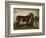 Donkey at Crib-Filippo Palizzi-Framed Giclee Print