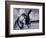 Donkey at Shorefront, Blackpool, England-Walter Bibikow-Framed Photographic Print