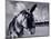 Donkey at Shorefront, Blackpool, England-Walter Bibikow-Mounted Photographic Print