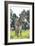 Donkey, Baby 5 Days Old-null-Framed Photographic Print