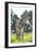 Donkey, Baby 5 Days Old-null-Framed Photographic Print