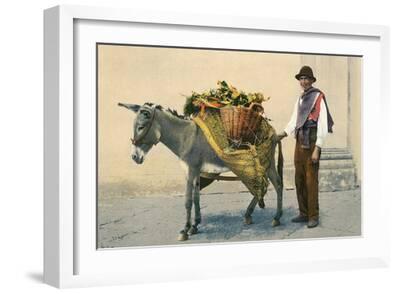 Buyenlarge - Carro de fruta de Donkey – Lienzo envuelto en la galería de  46.0 x 66.0 in, 46.0 x 66.0 in