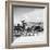 Donkey Cart, Aran Islands, Ireland, 1938 (B/W Photo)-null-Framed Giclee Print