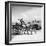 Donkey Cart, Aran Islands, Ireland, 1938 (B/W Photo)-null-Framed Giclee Print