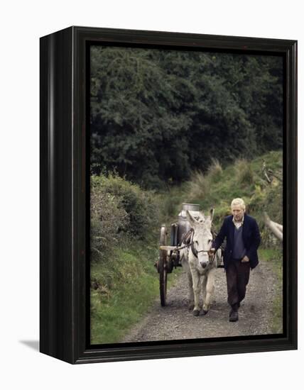 Donkey Cart, County Leitrim, Connacht, Republic of Ireland (Eire)-Adam Woolfitt-Framed Premier Image Canvas