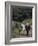 Donkey Cart, County Leitrim, Connacht, Republic of Ireland (Eire)-Adam Woolfitt-Framed Photographic Print