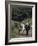 Donkey Cart, County Leitrim, Connacht, Republic of Ireland (Eire)-Adam Woolfitt-Framed Photographic Print