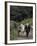 Donkey Cart, County Leitrim, Connacht, Republic of Ireland (Eire)-Adam Woolfitt-Framed Photographic Print