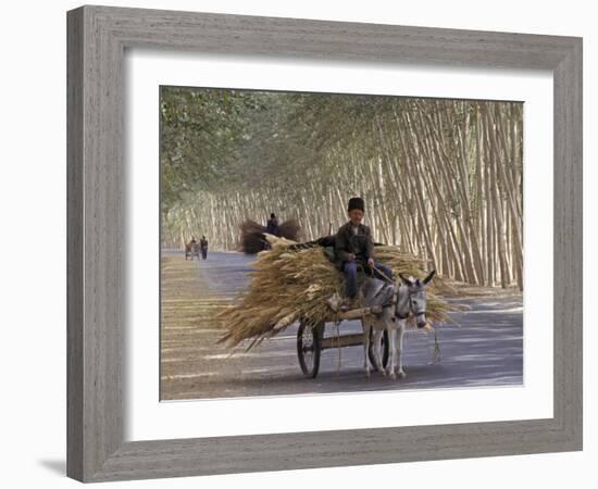 Donkey Cart, Turpan, Xinjiang Province, Silk Road, China-Keren Su-Framed Photographic Print