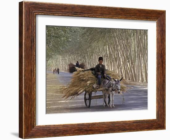 Donkey Cart, Turpan, Xinjiang Province, Silk Road, China-Keren Su-Framed Photographic Print