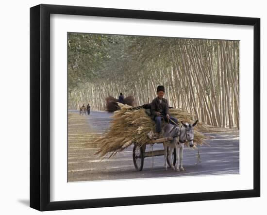 Donkey Cart, Turpan, Xinjiang Province, Silk Road, China-Keren Su-Framed Photographic Print