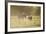 Donkey, Equus Asinus Asinus, Mother and Foal, Meadow, are Lying Laterally-David & Micha Sheldon-Framed Photographic Print