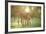 Donkey, Equus Asinus Asinus, Mother and Foal, Meadow, Is Lying Laterally-David & Micha Sheldon-Framed Photographic Print