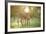 Donkey, Equus Asinus Asinus, Mother and Foal, Meadow, Is Lying Laterally-David & Micha Sheldon-Framed Photographic Print