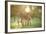 Donkey, Equus Asinus Asinus, Mother and Foal, Meadow, Is Lying Laterally-David & Micha Sheldon-Framed Photographic Print