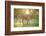 Donkey, Equus Asinus Asinus, Mother and Foal, Meadow, Is Lying Laterally-David & Micha Sheldon-Framed Photographic Print