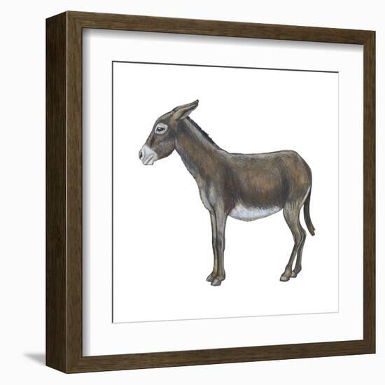 Donkey (Equus Asinus), Mammals-Encyclopaedia Britannica-Framed Art Print