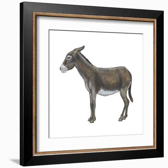 Donkey (Equus Asinus), Mammals-Encyclopaedia Britannica-Framed Art Print