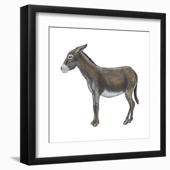 Donkey (Equus Asinus), Mammals-Encyclopaedia Britannica-Framed Art Print