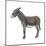 Donkey (Equus Asinus), Mammals-Encyclopaedia Britannica-Mounted Art Print