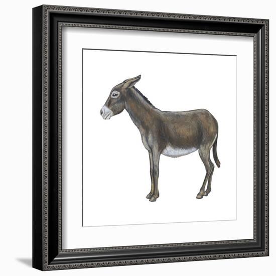 Donkey (Equus Asinus), Mammals-Encyclopaedia Britannica-Framed Art Print