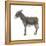 Donkey (Equus Asinus), Mammals-Encyclopaedia Britannica-Framed Stretched Canvas