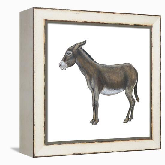 Donkey (Equus Asinus), Mammals-Encyclopaedia Britannica-Framed Stretched Canvas