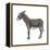 Donkey (Equus Asinus), Mammals-Encyclopaedia Britannica-Framed Stretched Canvas