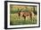 Donkey Foal in Meadow, Side On-null-Framed Photographic Print