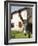 Donkey Near St. Jean Pied De Port, Basque Country, Pyrenees-Atlantiques, Aquitaine, France-R H Productions-Framed Photographic Print