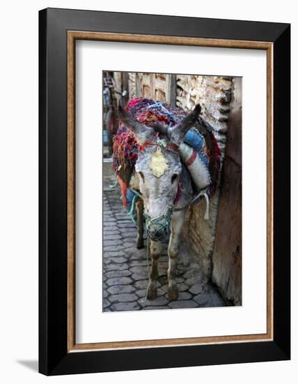 Donkey of the Souks Markets, Fes, Morocco, Africa-Kymri Wilt-Framed Photographic Print
