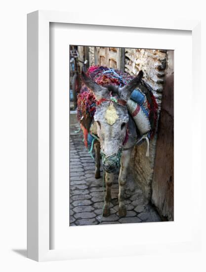 Donkey of the Souks Markets, Fes, Morocco, Africa-Kymri Wilt-Framed Photographic Print