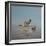 Donkey on the River-Lincoln Seligman-Framed Giclee Print