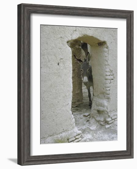 Donkey Peering Through Open Passage Way in White-Washed Wall in Ruined City-Howard Sochurek-Framed Photographic Print