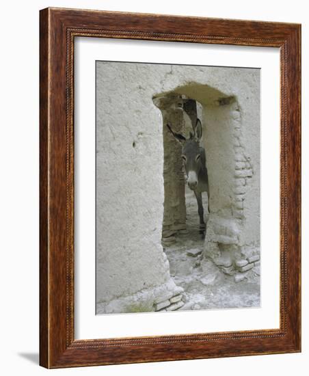 Donkey Peering Through Open Passage Way in White-Washed Wall in Ruined City-Howard Sochurek-Framed Photographic Print