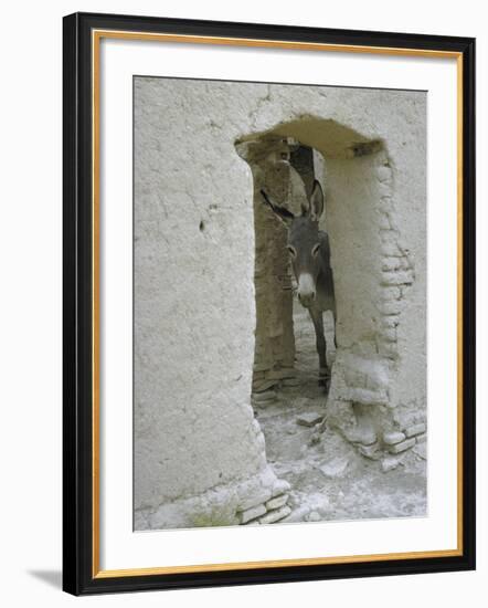 Donkey Peering Through Open Passage Way in White-Washed Wall in Ruined City-Howard Sochurek-Framed Photographic Print