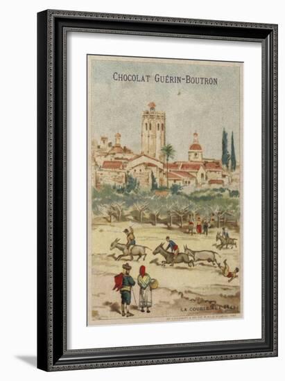 Donkey Racing-null-Framed Giclee Print