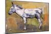 Donkey Stallion, Ronda, 1998-Mark Adlington-Mounted Giclee Print