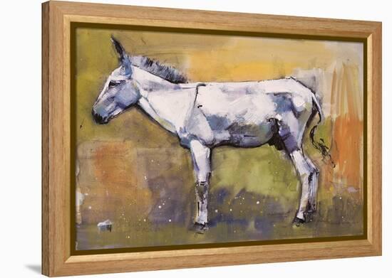 Donkey Stallion, Ronda, 1998-Mark Adlington-Framed Premier Image Canvas