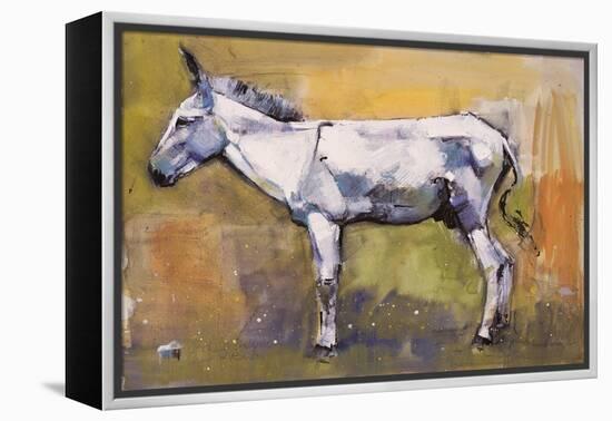 Donkey Stallion, Ronda, 1998-Mark Adlington-Framed Premier Image Canvas