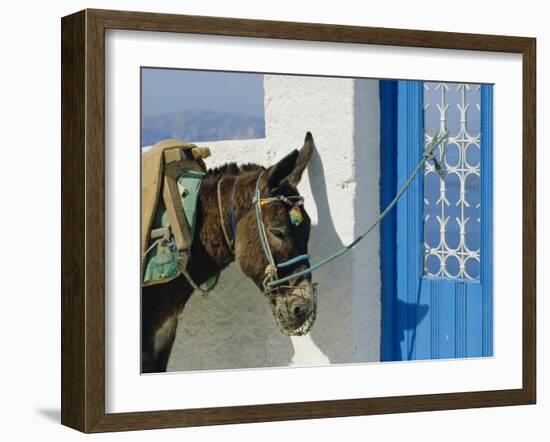 Donkey, Thira, Santorini, Cyclades Islands, Greece, Europe-Michael Short-Framed Photographic Print