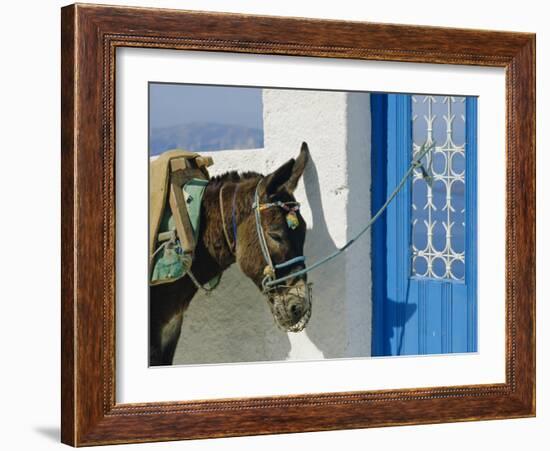 Donkey, Thira, Santorini, Cyclades Islands, Greece, Europe-Michael Short-Framed Photographic Print