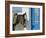 Donkey, Thira, Santorini, Cyclades Islands, Greece, Europe-Michael Short-Framed Photographic Print